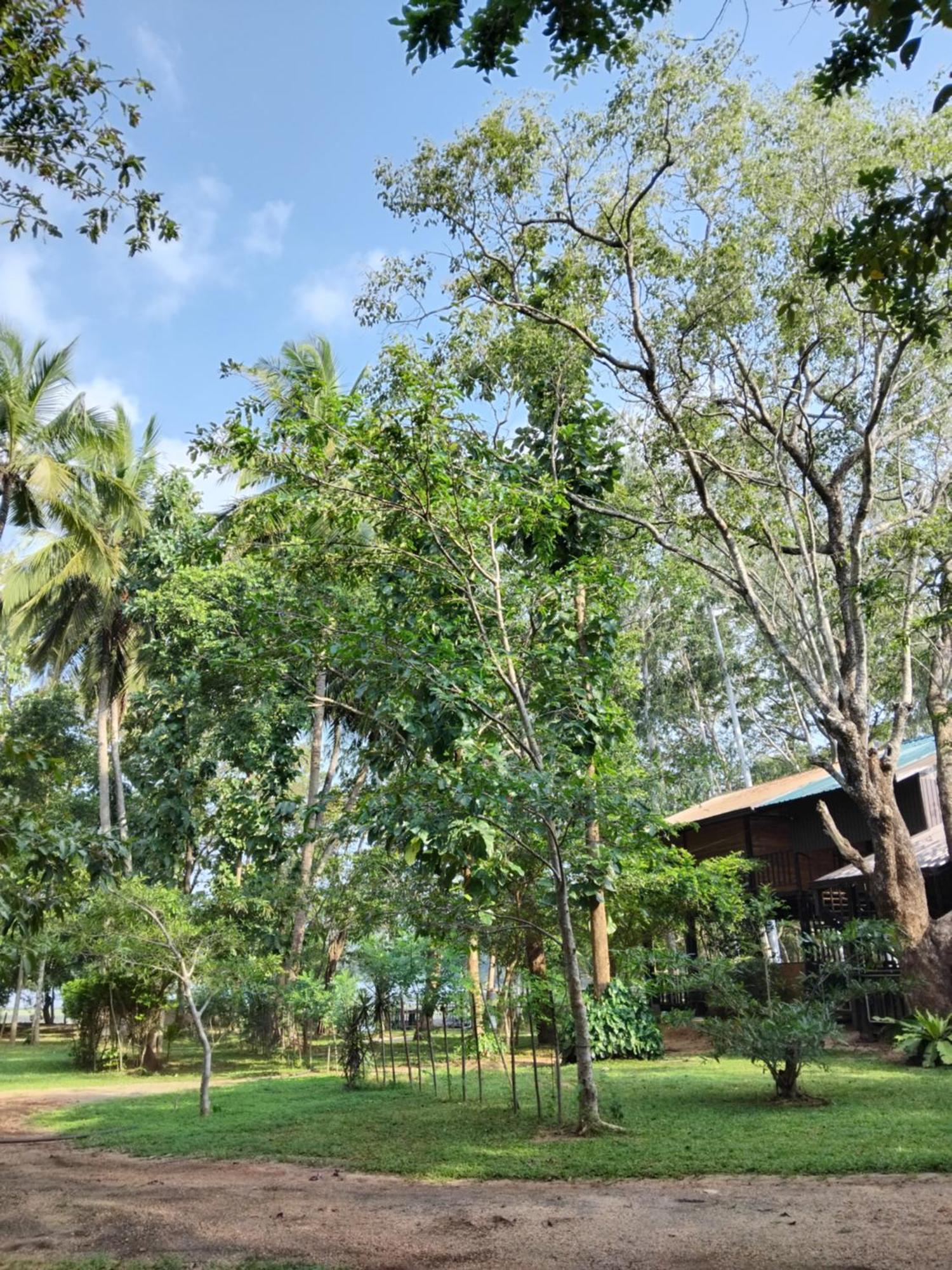 Nature'S Lake View Sigiriya Dambulla Exterior photo
